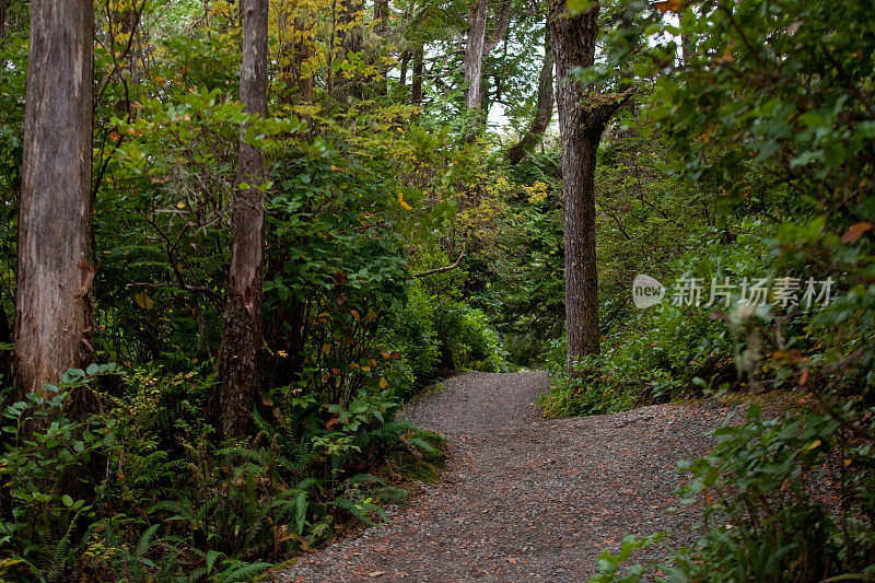 Wild Pacific Trail View